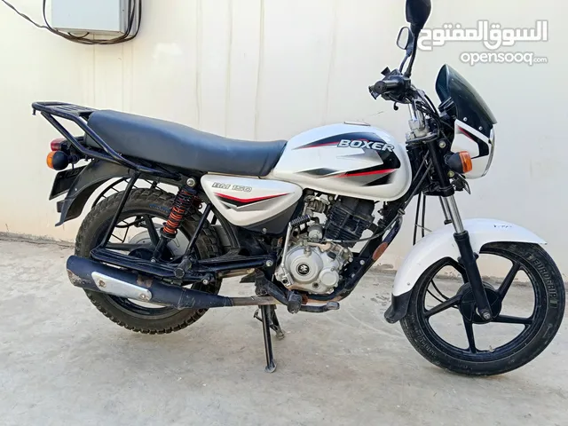 بوكسر كلاسك مديل 2023