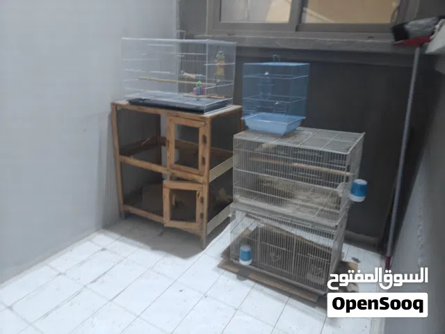 6 اقفاص بيعة سريعة