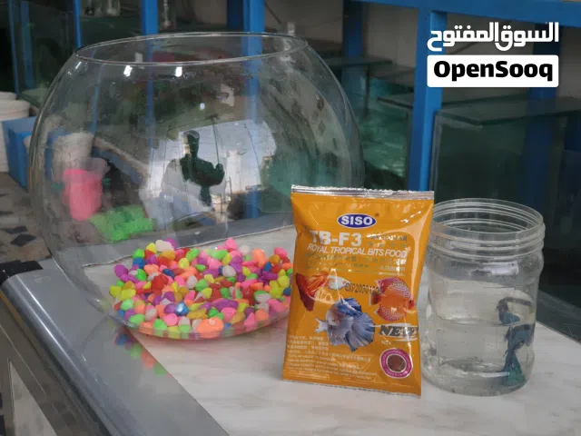 سمك فايتر مع الدورق