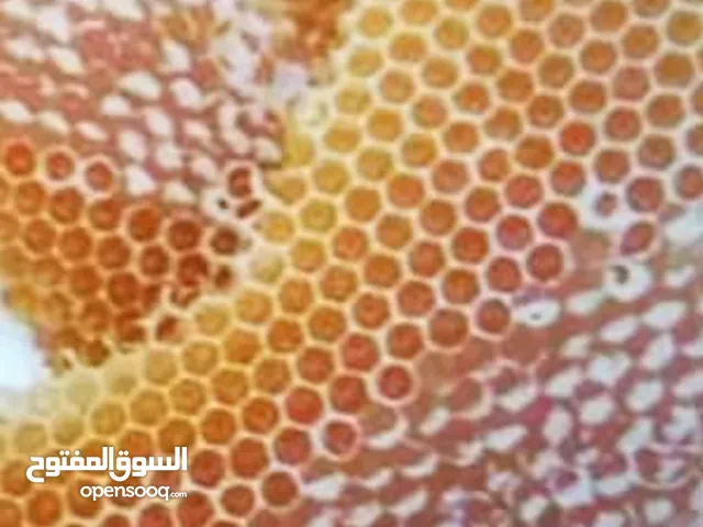 عسل طبيعي 100٪