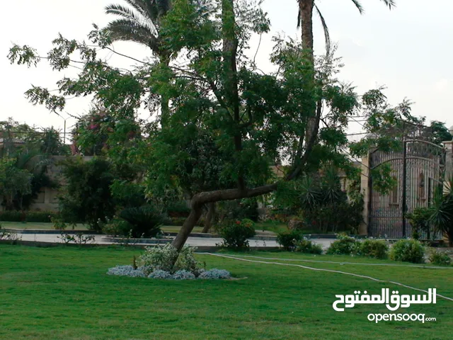 1000 m2 More than 6 bedrooms Villa for Sale in Cairo Ring Road