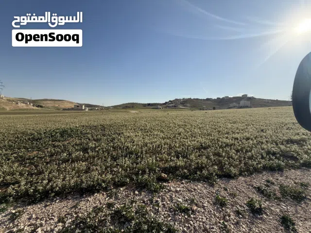 Residential Land for Sale in Amman Marka Al Janoubiya