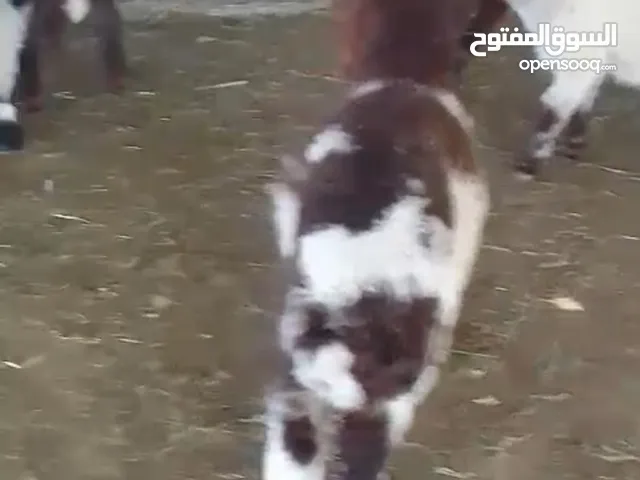 HhhhhhhhhH
