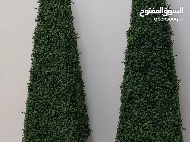 Artificial plants in Muscat