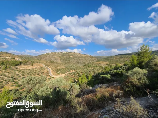 ارض مطلة للبيع