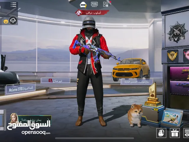 Pubg Accounts and Characters for Sale in Amman
