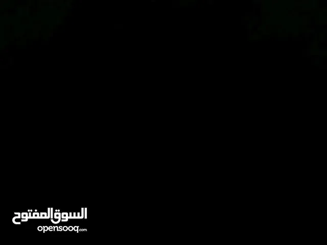 محل مواد بناء العقبة المنارة جامع الشويكيني