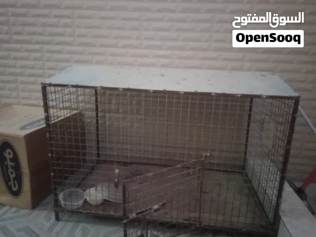 قفص كبير ونظيف وماعليه كلام