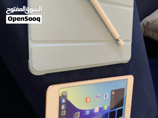 iPad mini 5
