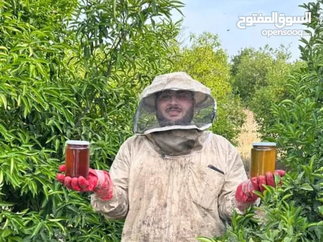 عسل نحل بلدي من منحلي بسعر جمله الجمله (مغذئ)