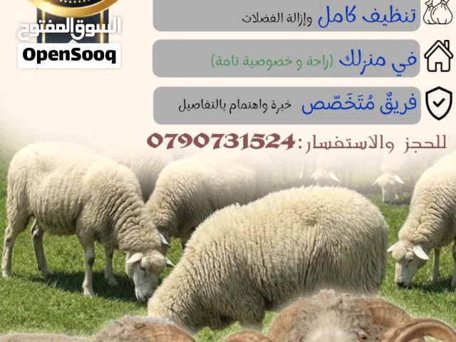 لحام منزلي متنقل لذبح كافة الاضاحي والعقائق والنذور مابيحلا العيد الا والاضحية بلبيت