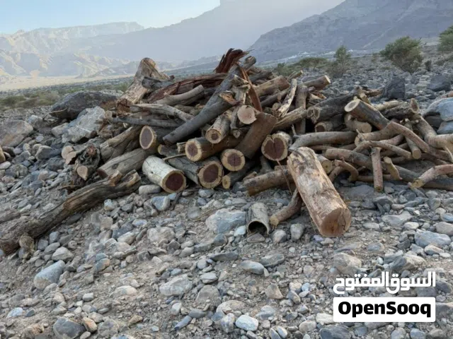حطب سمر نظيف