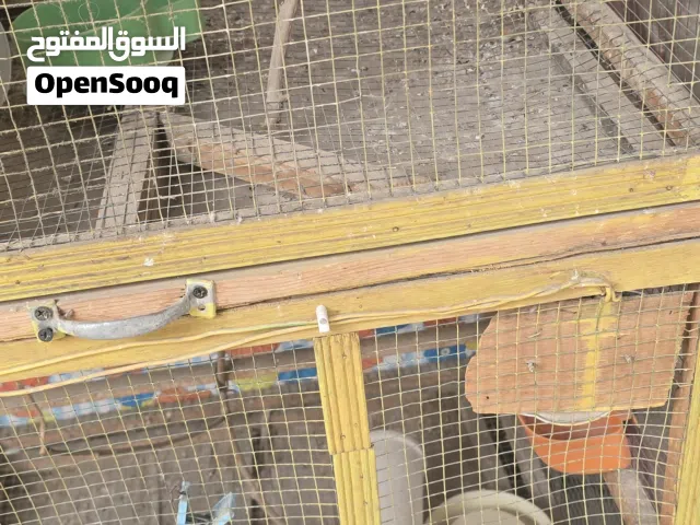 قفص شغل درجه اولى يصير لكل الطيور