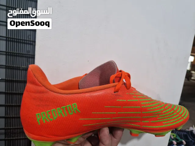 حدء adidas predator