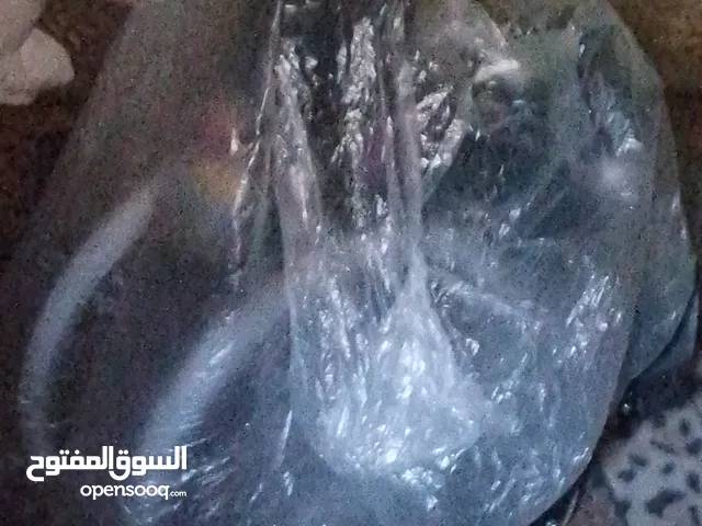 كرسي متحرك حالات خاصة