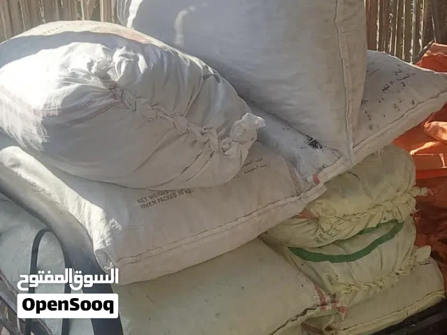 نفيعه للبيع مال السنة