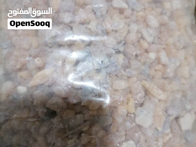 بخور لبان للبيع