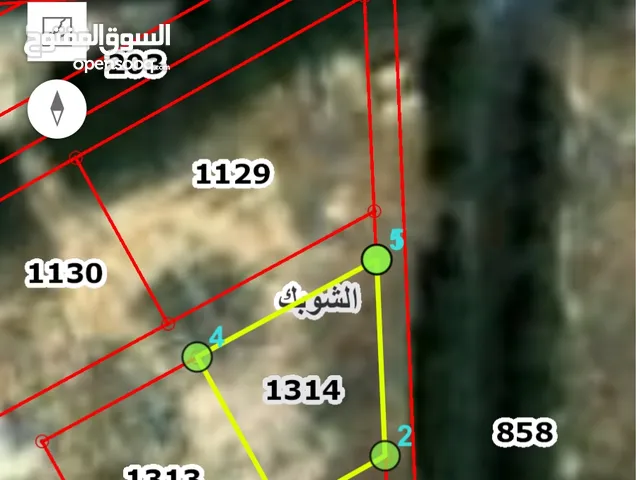 قطعتين ارض داخل مجل السراب