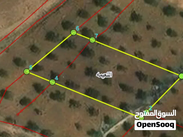 Residential Land for Sale in Irbid An-Nuayyimah