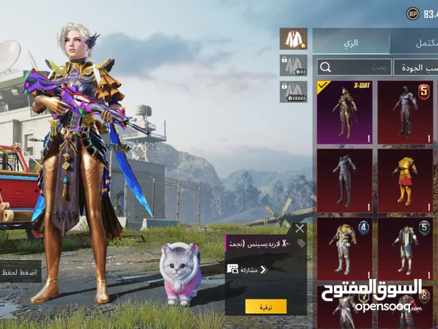 Pubg Accounts and Characters for Sale in Giza