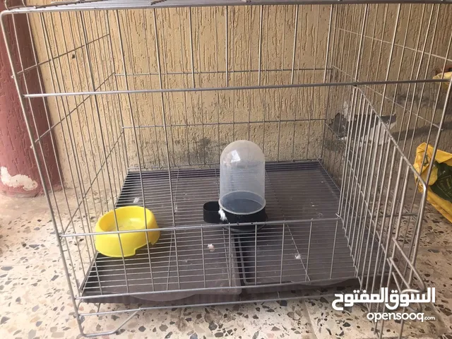 سلاكة جديدة