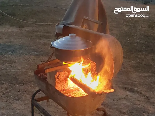 Used Hyundai H 100 in Zawiya