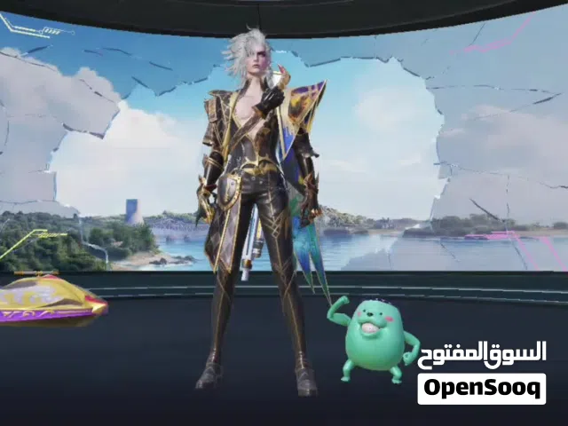 Pubg Accounts and Characters for Sale in Luxor