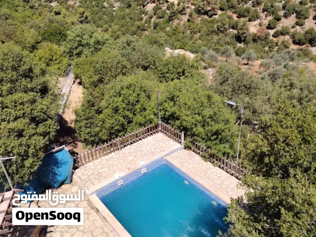 3 Bedrooms Farms for Sale in Jerash Sakib