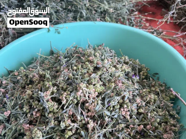 بذور قت صافي