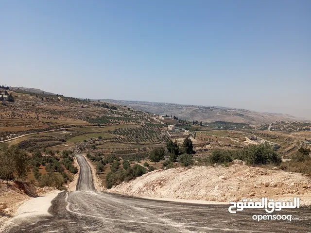 750م سكن ب حوض ابو الغزلان العال والروضة بسعر مغري للجادين مشجره إطلالة غربيه