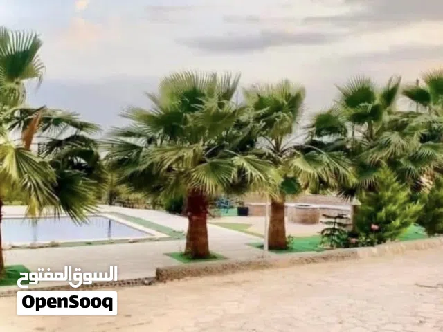 شاليه مميز للايجار في جرش بإطلالة جدا رائعة