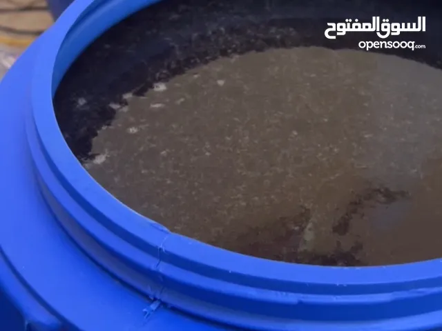 عسل برم (سمر) 2025