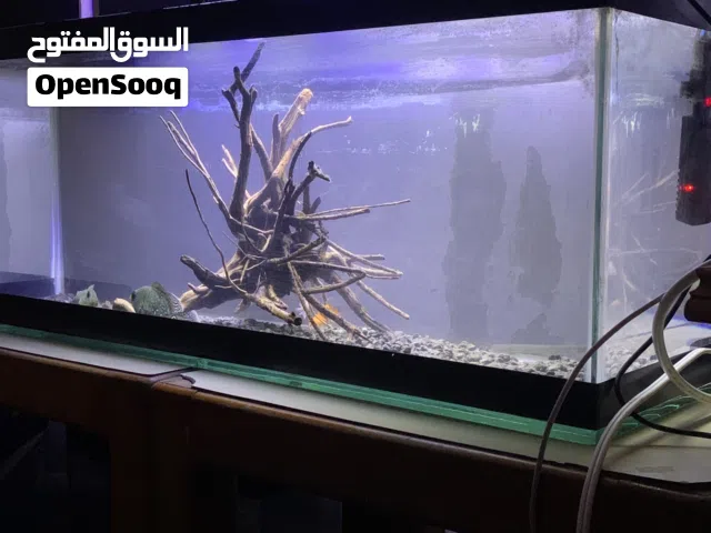 حوض سمك ..