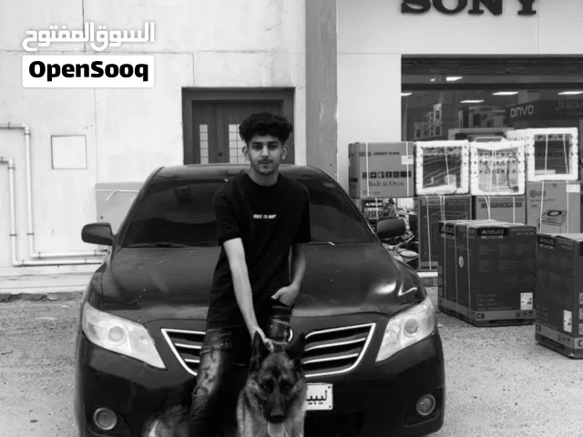 كلب ربي يبارك