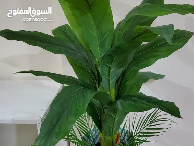 روز باتيلز للاشجار الصناعية