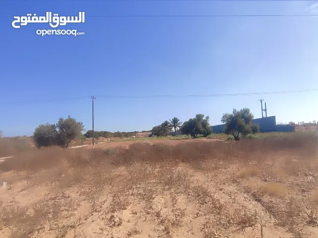 Mixed Use Land for Sale in Zliten Other