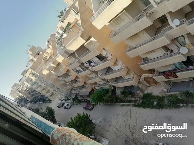 60 m2 2 Bedrooms Apartments for Sale in Alexandria Nakheel