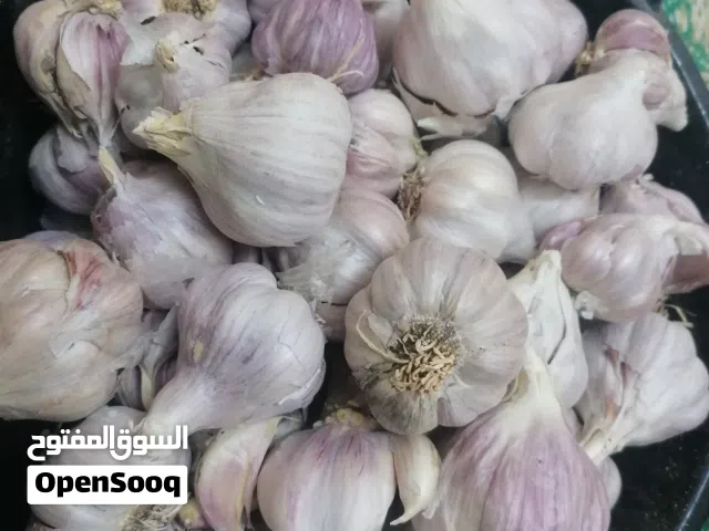 الثوم عماني حجم كبير