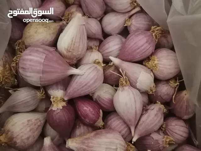 سلام عليكم يتوفر الثوم ذكر ممتاز ونظيف الجوده عاليه جدا