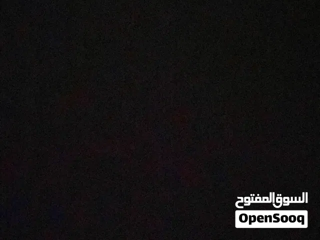 دجاج للبيع