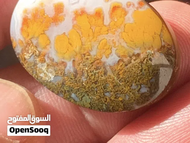 احجار طحلبية طبيعية