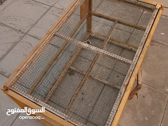 قفص طيور مستعمل Used bird cage