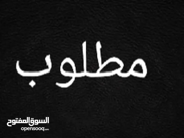 زوج كوكتيل لاتينو أصفر