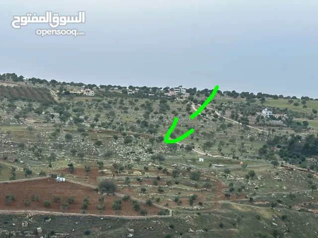 Farm Land for Sale in Zarqa Al-Alouk