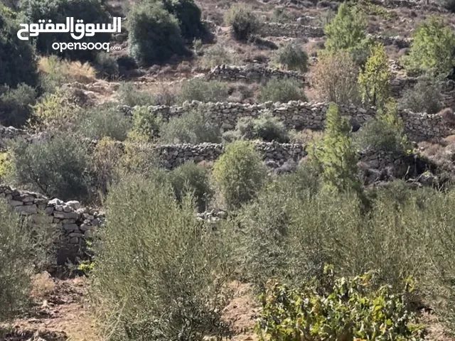 Mixed Use Land for Sale in Hebron Beit Kahil