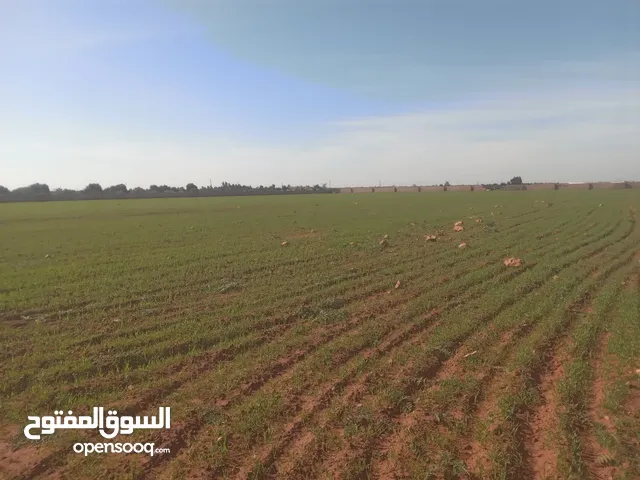 Farm Land for Sale in Benghazi Bu Hadi