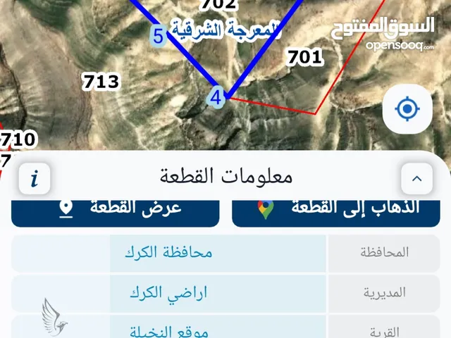 قطعة أرض إستثمارية مميزة جدا 95 دونم في محافظة الكرك . موقع نخيلة