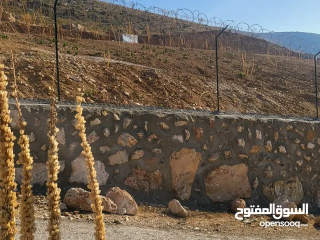 Farm Land for Sale in Jerash Kufair