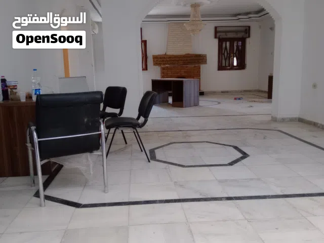 اسطى زواق شامل