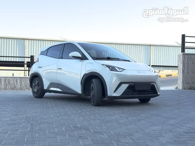 Used BYD Seagull in Amman